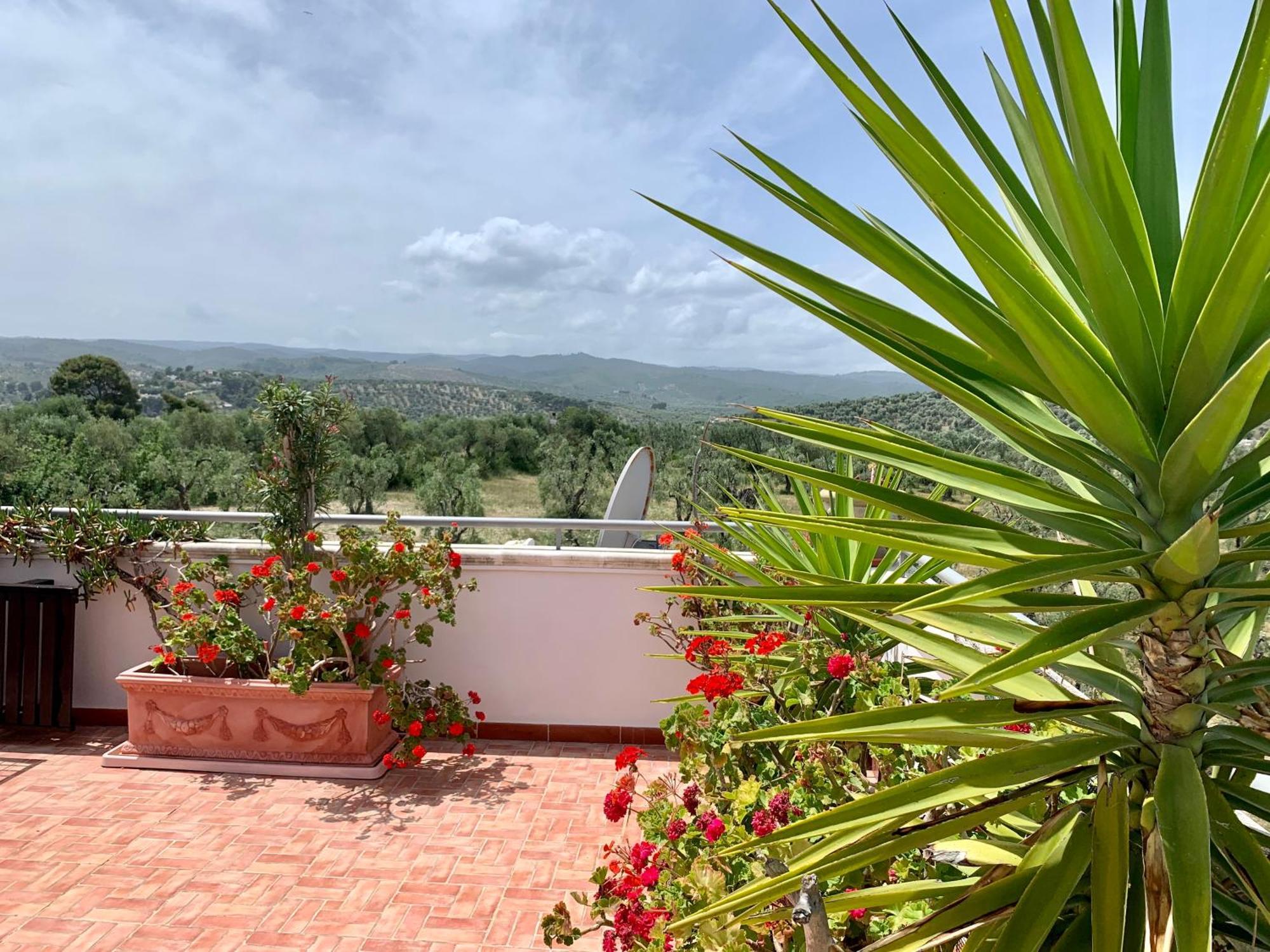Appartamento Dreaming Penthouse Vieste Esterno foto