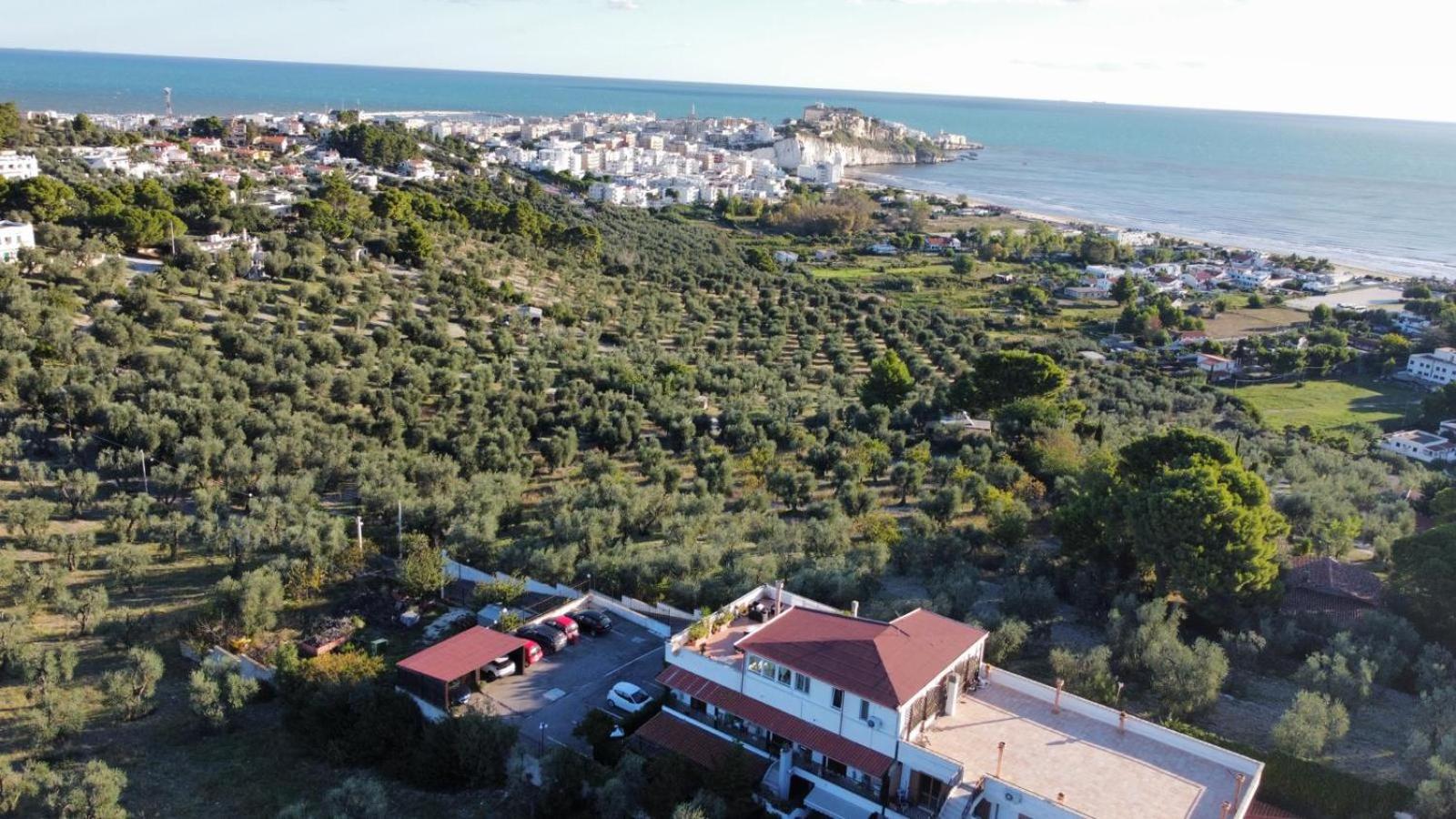 Appartamento Dreaming Penthouse Vieste Esterno foto