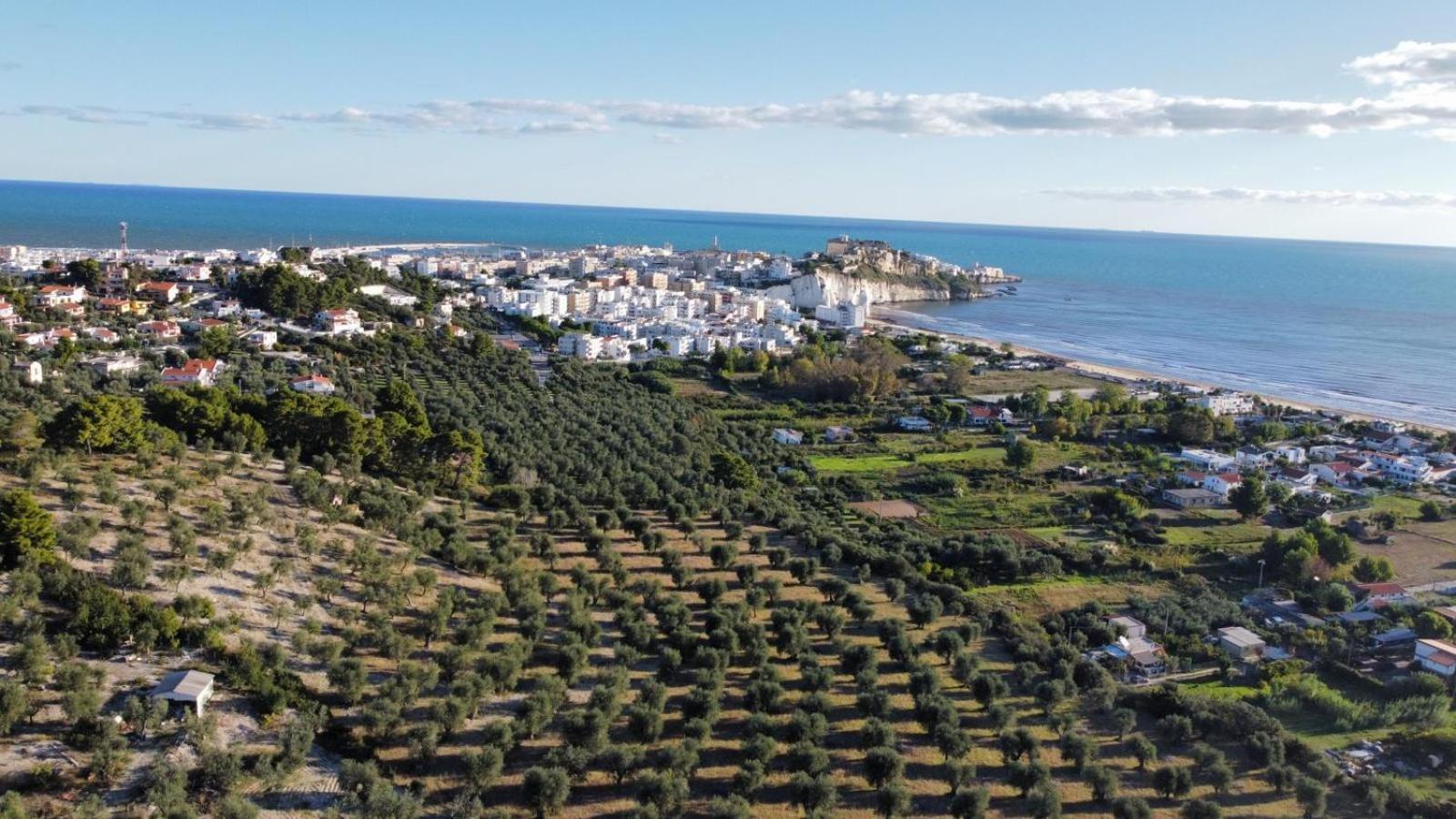 Appartamento Dreaming Penthouse Vieste Esterno foto