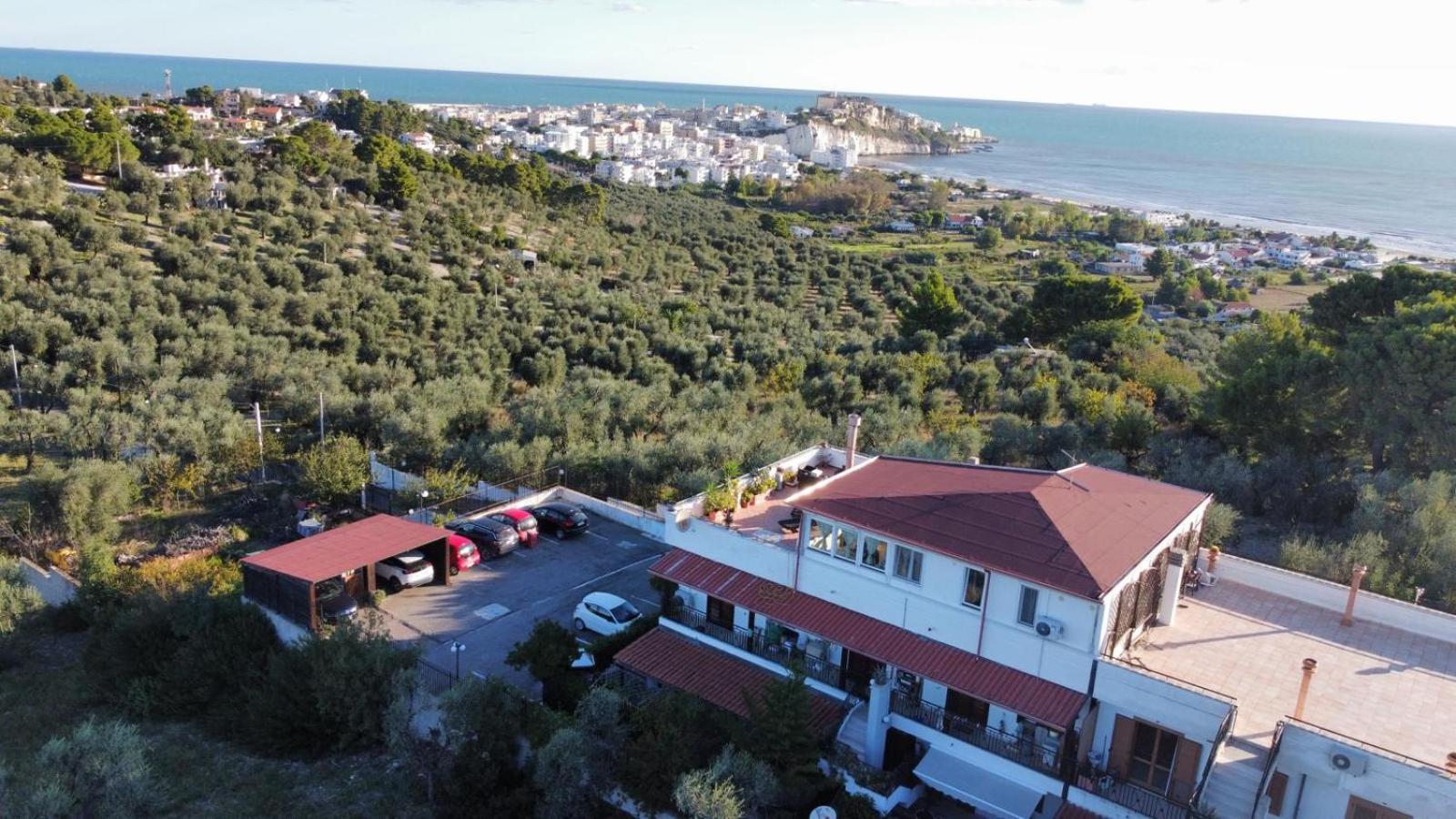 Appartamento Dreaming Penthouse Vieste Esterno foto