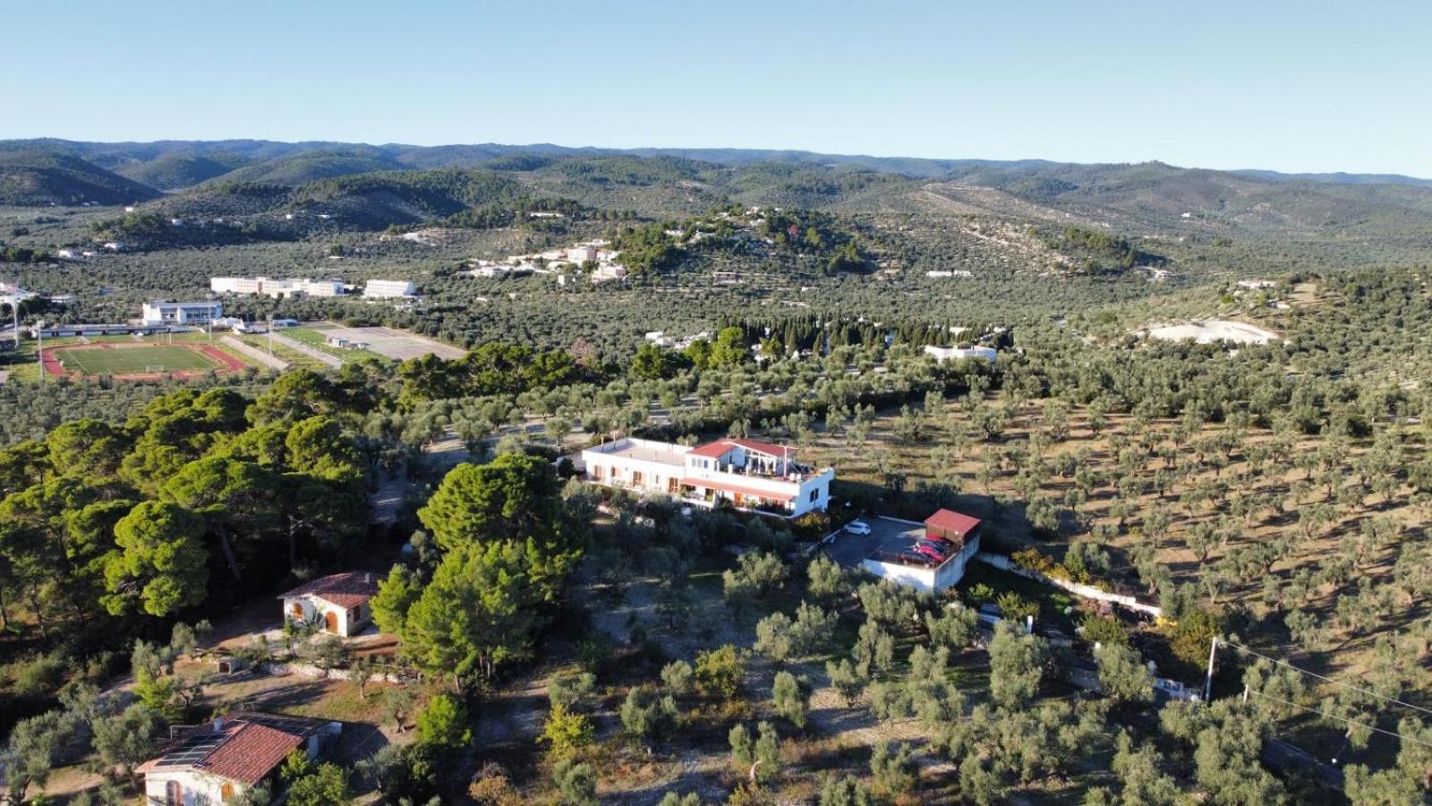 Appartamento Dreaming Penthouse Vieste Esterno foto